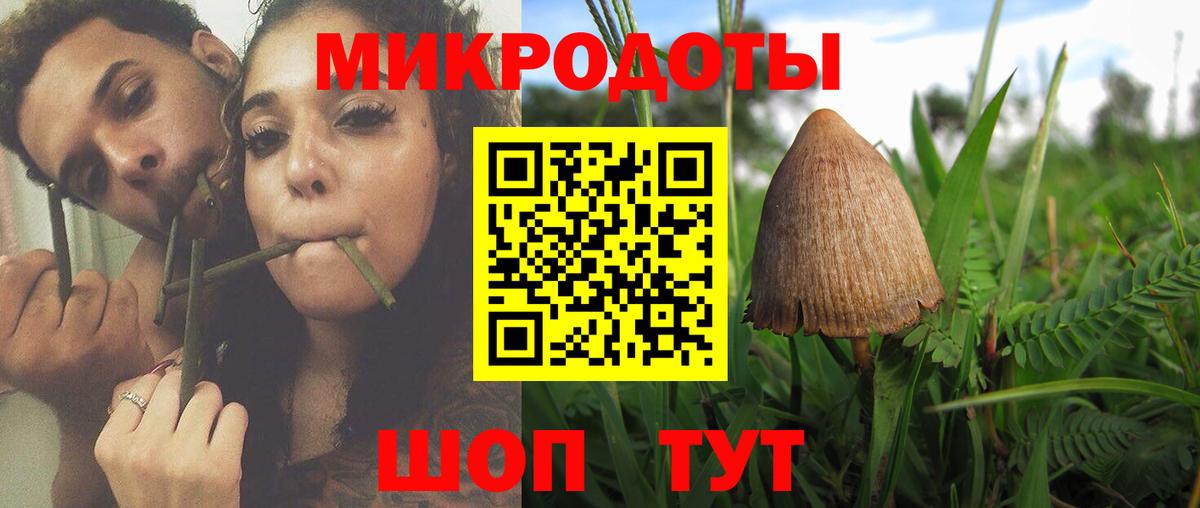 Псилоцибиновые грибы GOLDEN TEACHER  Галлюциногенные грибы GOLDEN TEACHER  Вход с VPN  Белогорск 